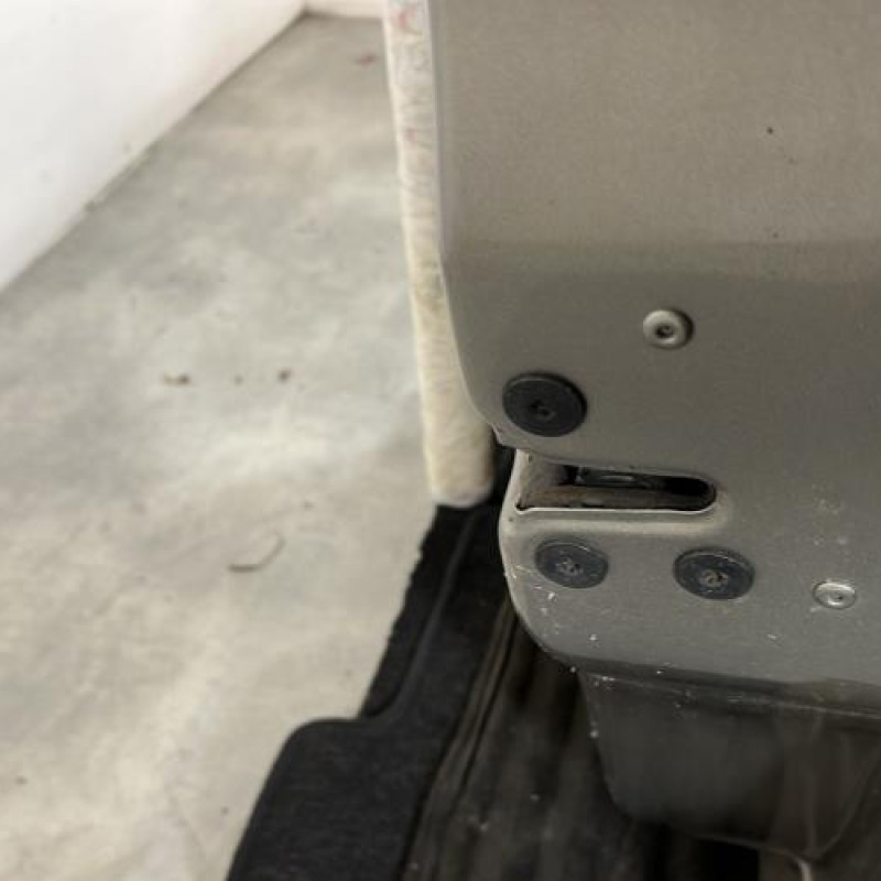 Porte avant droit RENAULT MODUS Photo n°6