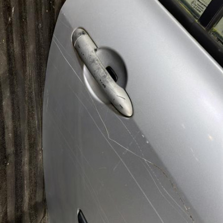 Porte arriere droit RENAULT CLIO 3