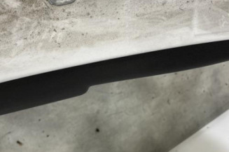 Porte arriere droit RENAULT CLIO 3