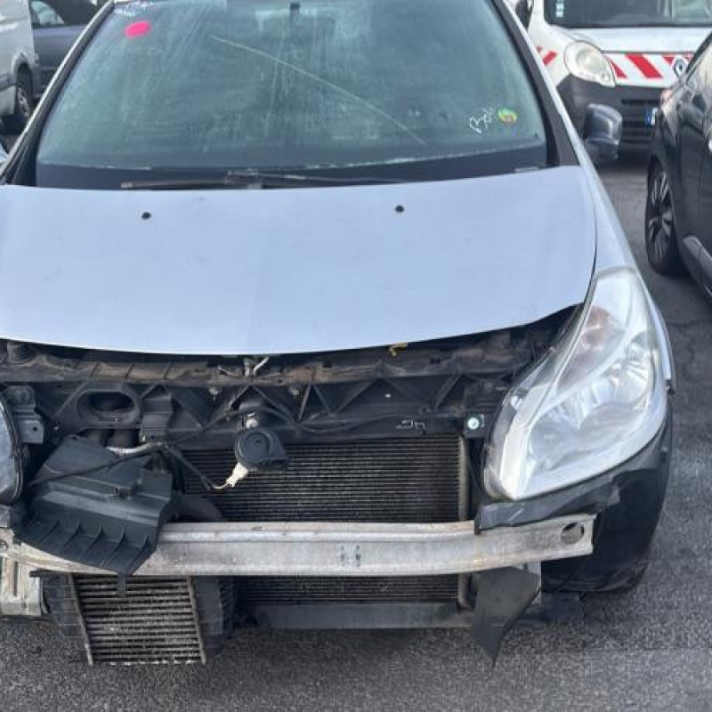 Porte arriere droit RENAULT CLIO 3 Photo n°13