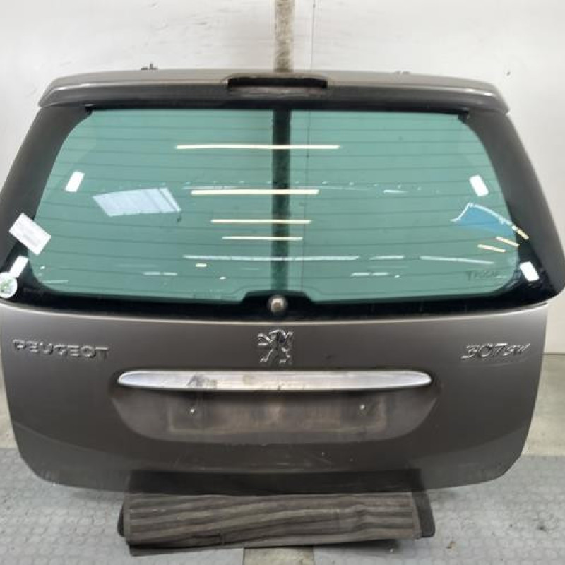 Malle/Hayon arriere PEUGEOT 307 Photo n°1