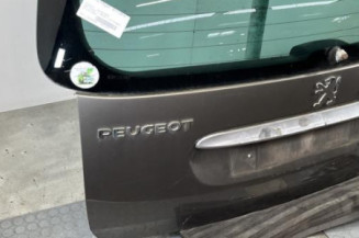 Malle/Hayon arriere PEUGEOT 307