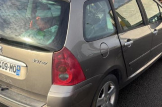 Malle/Hayon arriere PEUGEOT 307