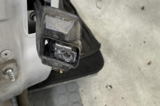 Porte arriere droit RENAULT CLIO 4