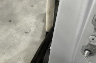 Porte arriere gauche RENAULT CLIO 4