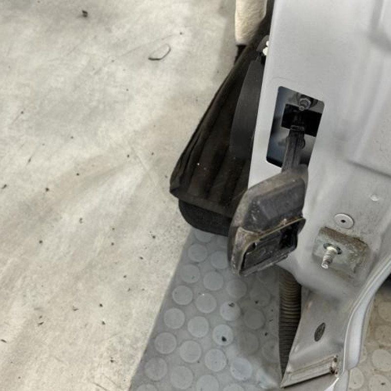 Porte arriere gauche RENAULT CLIO 4 Photo n°3