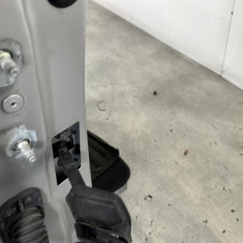 Porte avant droit RENAULT CLIO 4 Photo n°2