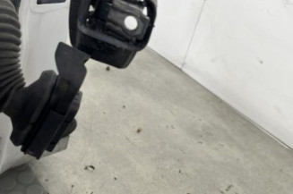 Porte avant droit RENAULT CLIO 4