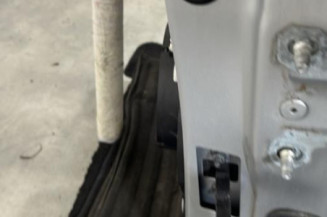 Porte avant gauche RENAULT CLIO 4