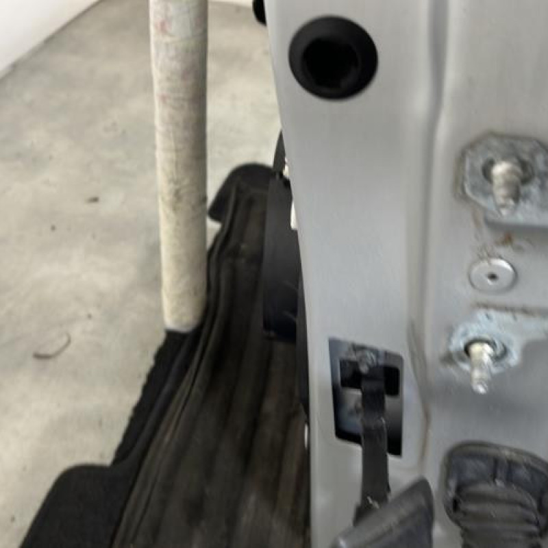 Porte avant gauche RENAULT CLIO 4 Photo n°3