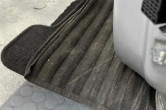 Porte avant gauche RENAULT CLIO 4