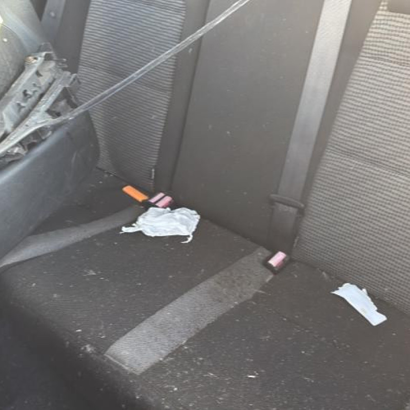 Custode arriere gauche PEUGEOT 207 Photo n°17