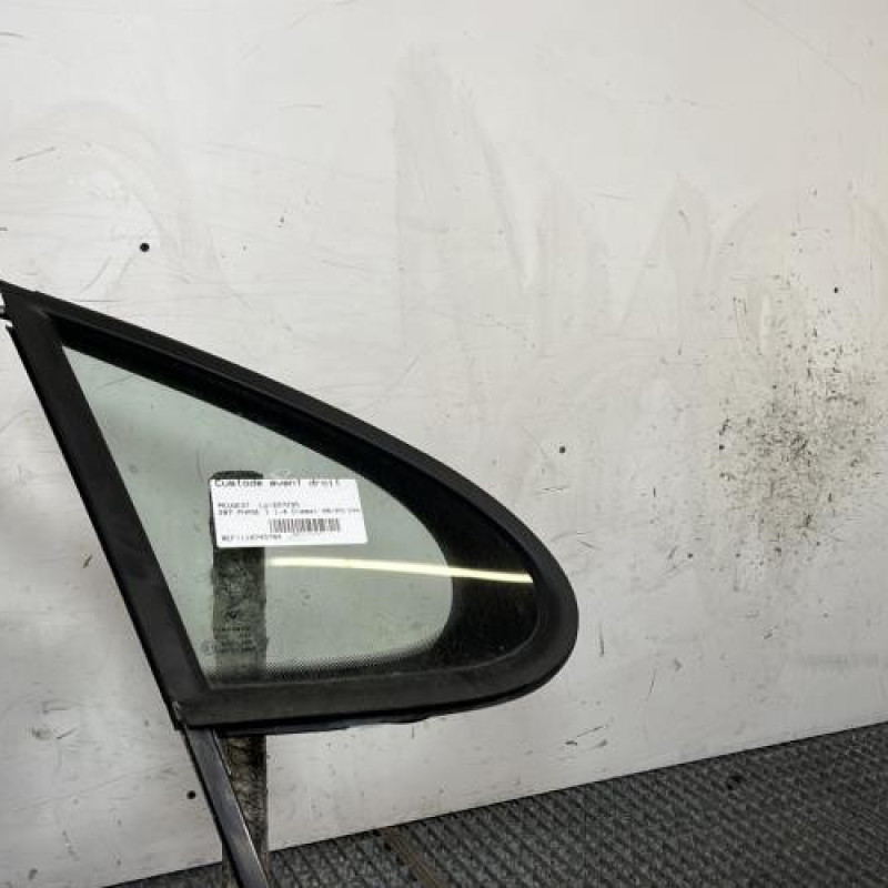 Custode avant droit (porte) PEUGEOT 207 Photo n°3