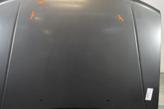 Capot PEUGEOT 306 Photo n°1