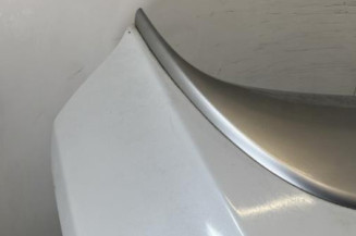 Malle/Hayon arriere RENAULT MEGANE 3