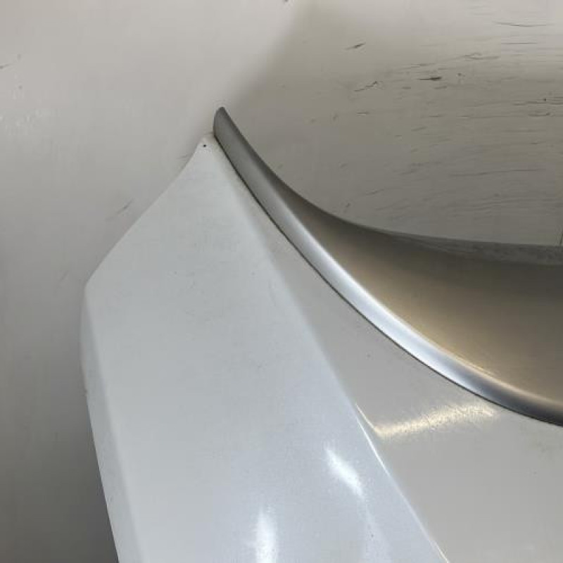 Malle/Hayon arriere RENAULT MEGANE 3 Photo n°3