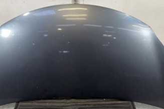 Capot SUZUKI ALTO 3 Photo n°1