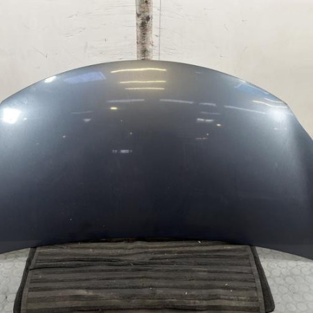 Capot SUZUKI ALTO 3 Photo n°1