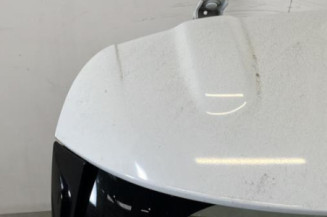 Malle/Hayon arriere RENAULT CLIO 4