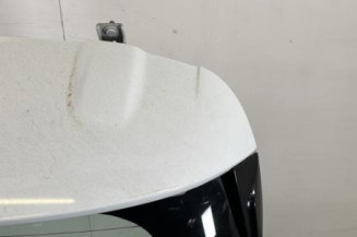 Malle/Hayon arriere RENAULT CLIO 4