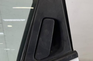 Porte arriere gauche RENAULT CLIO 4