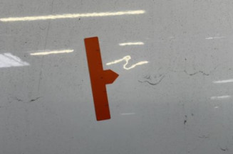 Porte arriere gauche RENAULT CLIO 4