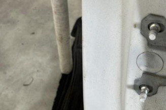 Porte arriere gauche RENAULT CLIO 4