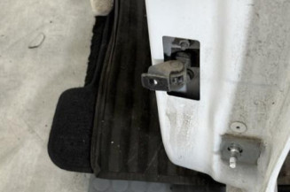 Porte arriere gauche RENAULT CLIO 4