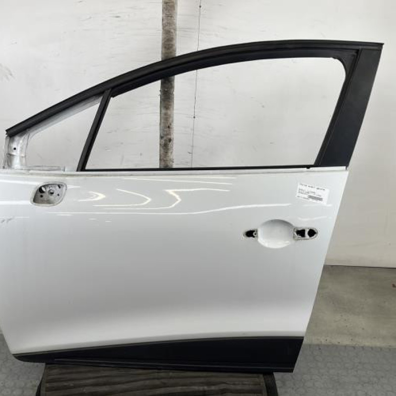 Porte avant gauche RENAULT CLIO 4 Photo n°1