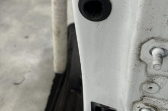 Porte avant gauche RENAULT CLIO 4