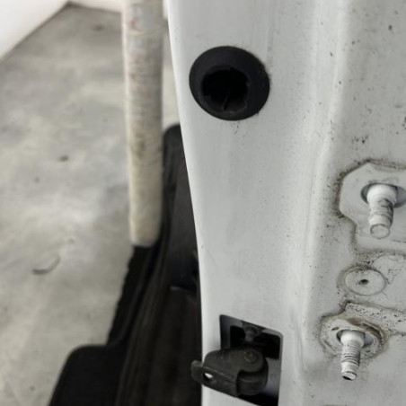 Porte avant gauche RENAULT CLIO 4