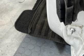 Porte avant gauche RENAULT CLIO 4