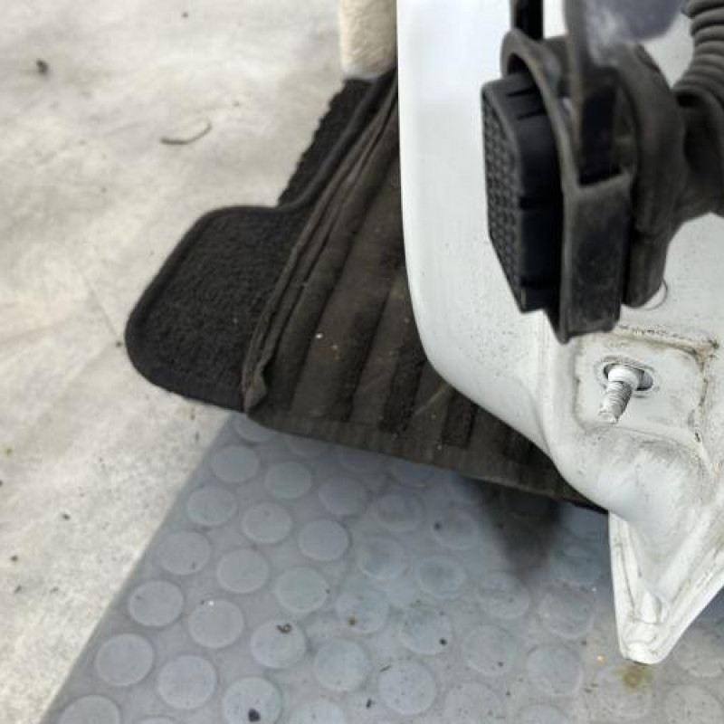 Porte avant gauche RENAULT CLIO 4 Photo n°3