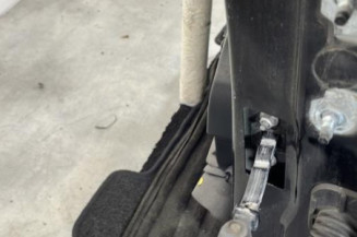 Porte avant gauche RENAULT CLIO 4