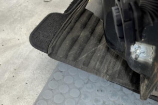 Porte avant gauche RENAULT CLIO 4