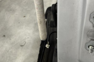 Porte arriere gauche RENAULT CLIO 4