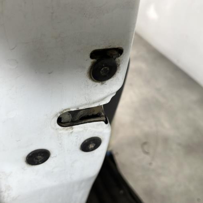 Porte arriere gauche DACIA LOGAN MCV 1 Photo n°5