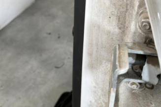 Porte arriere gauche DACIA LOGAN MCV 1