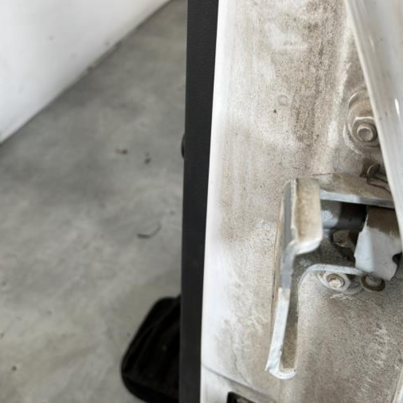 Porte arriere gauche DACIA LOGAN MCV 1 Photo n°6