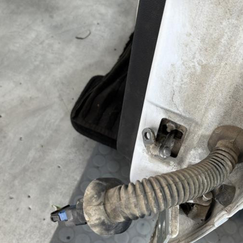 Porte arriere gauche DACIA LOGAN MCV 1 Photo n°7