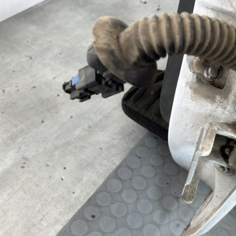 Porte arriere gauche DACIA LOGAN MCV 1 Photo n°8