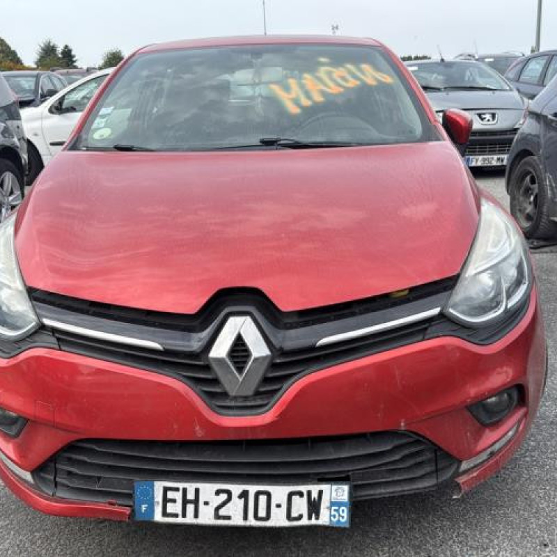 Malle/Hayon arriere RENAULT CLIO 4 Photo n°16