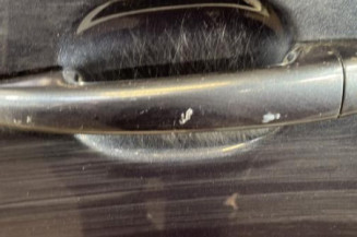 Porte avant gauche PEUGEOT 3008 1