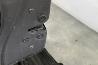 Porte arriere gauche RENAULT CAPTUR 1