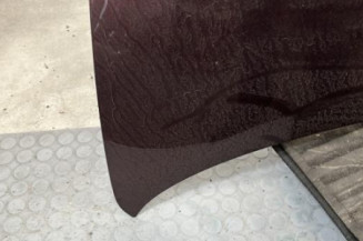 Capot RENAULT TWINGO 2