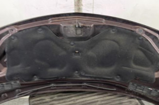 Capot RENAULT TWINGO 2