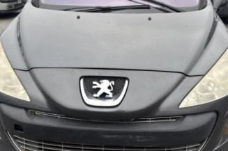 Malle/Hayon arriere PEUGEOT 308 1