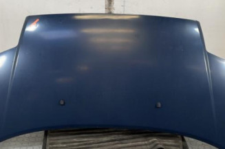 Capot CITROEN C2 Photo n°1