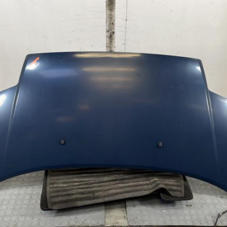 Capot CITROEN C2 Photo n°1