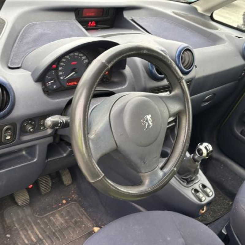 Custode arriere gauche PEUGEOT 1007 Photo n°13